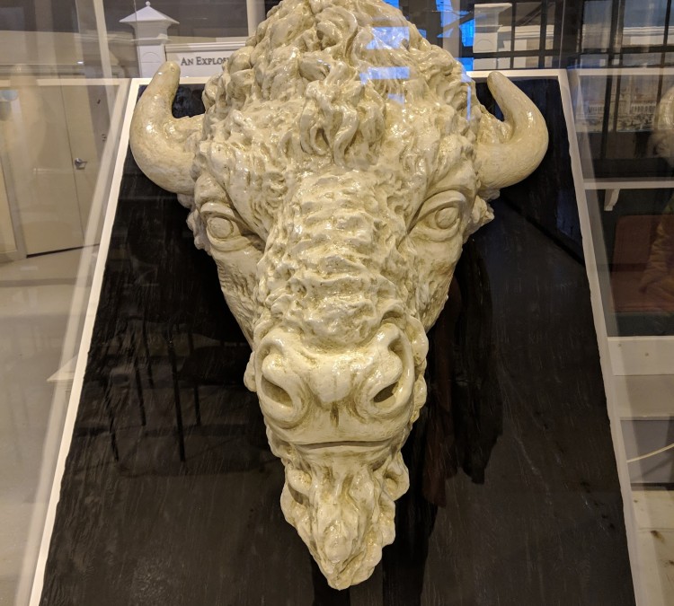 the-buffalo-history-museum-resource-center-photo